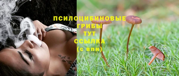 apvp Беломорск